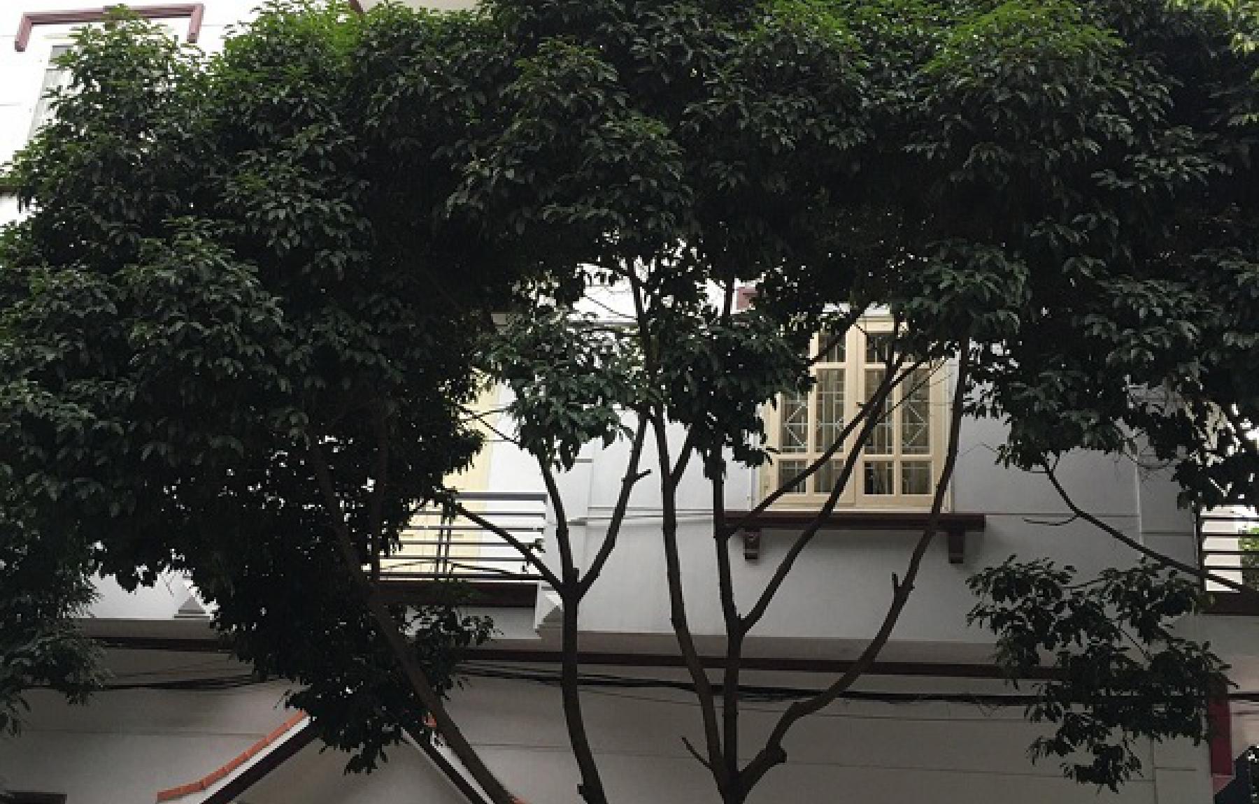 Nhà 4 tầng Lô 22 Lê Hồng Phong, P Đông Khê, Q Ngô Quyền, Hải Phòng