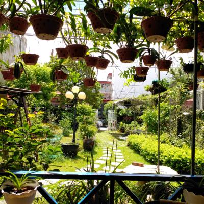 Nhà vườn 440m2 phố Tân Thành, Dương Kinh