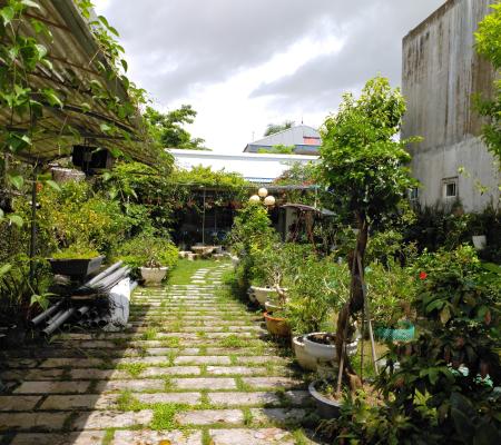 Nhà vườn 440m2 phố Tân Thành, Dương Kinh