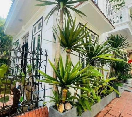 Biệt thự tam giác 3 tầng phố Đỗ Nhuận 193 Văn Cao