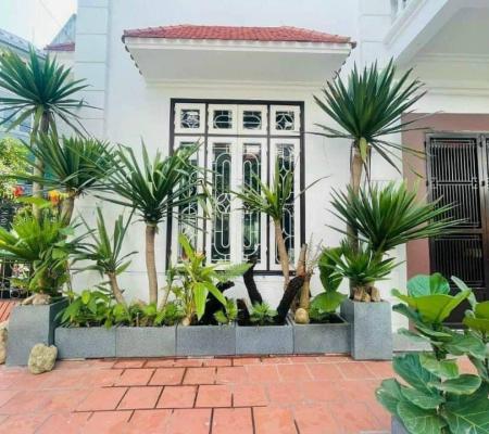 Biệt thự tam giác 3 tầng phố Đỗ Nhuận 193 Văn Cao