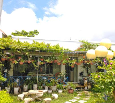 Nhà vườn 440m2 phố Tân Thành, Dương Kinh