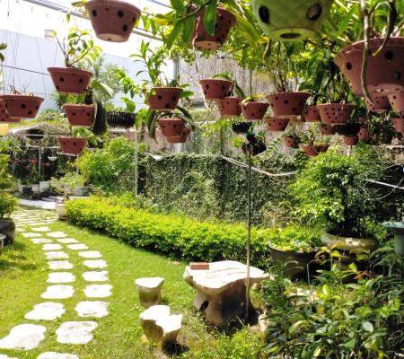 Nhà vườn 440m2 phố Tân Thành, Dương Kinh