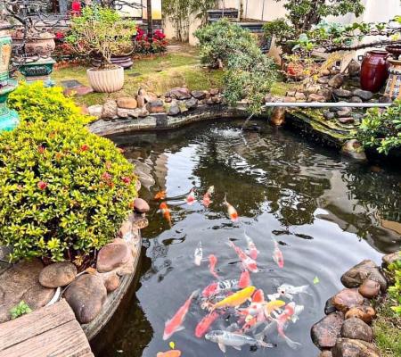 Biệt thự nhà vườn 750m2 mặt đường P.Tràng Cát, Q.Hải An