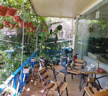 Nhà vườn 440m2 phố Tân Thành, Dương Kinh