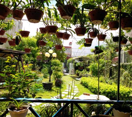 Nhà vườn 440m2 phố Tân Thành, Dương Kinh
