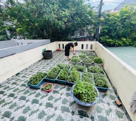 Nhà 3 tầng 92m2 mặt tiền đường Trực Cát, Thiên Lôi