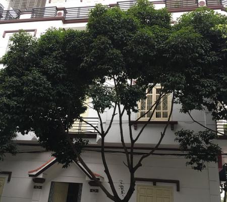 Nhà 4 tầng Lô 22 Lê Hồng Phong, P Đông Khê, Q Ngô Quyền, Hải Phòng
